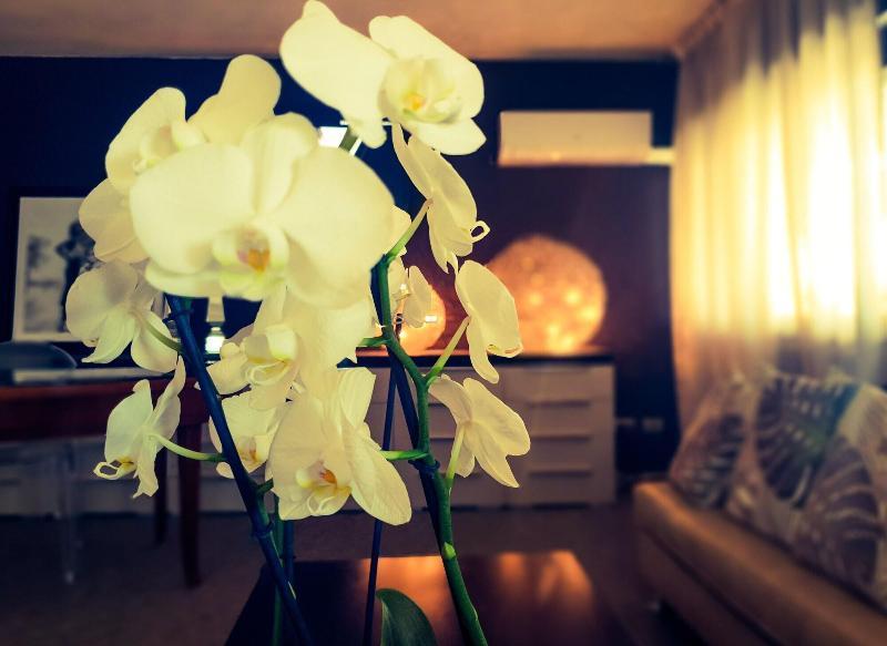 Hotel Caraibi Milano Marittima Ngoại thất bức ảnh